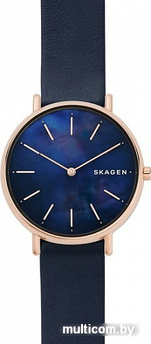 Наручные часы Skagen SKW2731