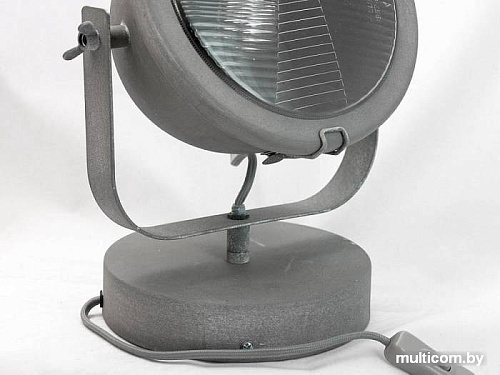 Точечный светильник Lussole Loft LSP-9880