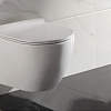 Унитаз CeramaLux TR2196