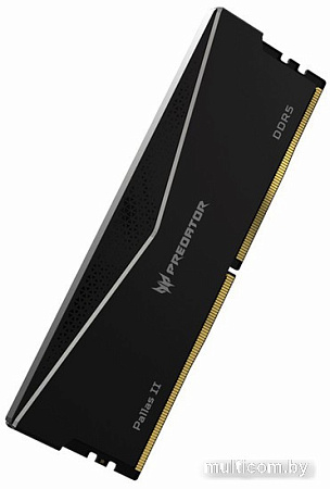 Оперативная память Acer Predator Pallas II 2x16ГБ DDR5 6400 МГц BL.9BWWR.434
