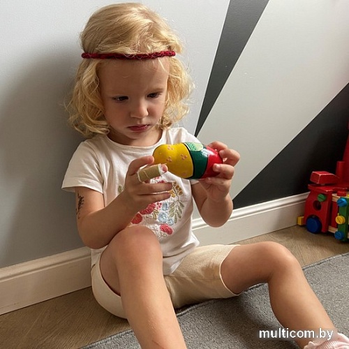 Развивающая игра Брестская Матрешка С ягодами рябины (набор 5 шт)