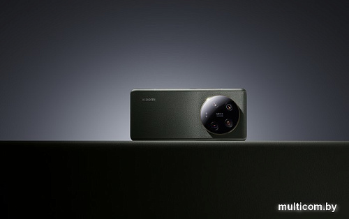 Смартфон Xiaomi 13 Ultra 12GB/256GB китайская версия (оливковый зеленый)
