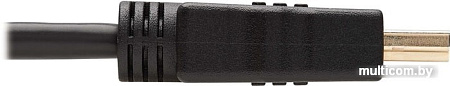 Кабель Tripp Lite P568-010
