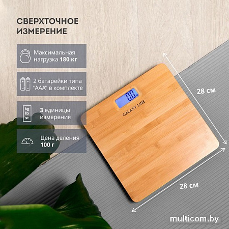 Напольные весы Galaxy Line GL 4820