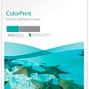 Фотобумага Xerox ColorPrint Coated Silk шелковистая SRA3 300 г/м2 100 л 450L80039