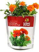 Набор для опытов Happy plant Бархатцы золотистые hpn-30