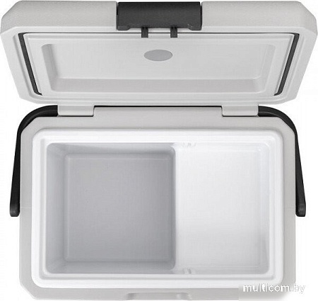 Компрессорный автохолодильник Alpicool P15 18л (серый, без адаптера 220В)