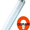 Люминесцентная лампа Osram L 36W/765 36Вт T8 6500К G13