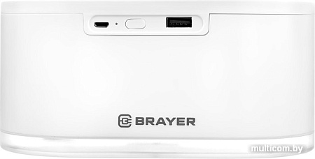 Увлажнитель воздуха Brayer BR4912