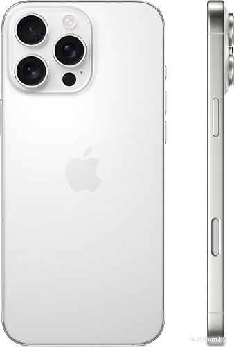 Смартфон Apple iPhone 16 Pro Max Dual SIM 256GB (белый титан)