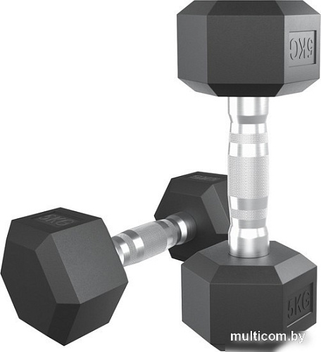 Набор гантелей Unixfit DBHEX5 5 кг