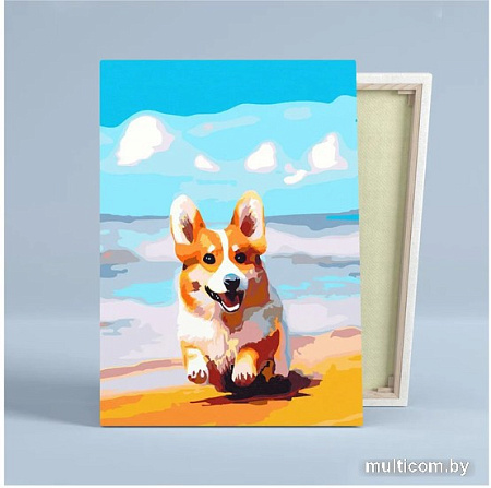 Картина по номерам Red Panda Корги На Берегу p54740