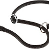 Ошейник-удавка Ferplast Sport CS8/50 75270999 (цвет в ассортименте)