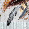 Фотообои Citydecor Перья 300x254