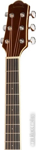 Акустическая гитара Naranda DG303NA