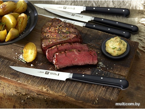 Набор ножей Zwilling 39029-000 (4 шт)