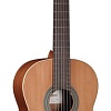 Акустическая гитара Almansa Student 400 Nature
