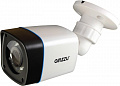 CCTV-камера Ginzzu HAB-2032P