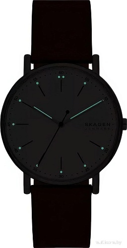 Наручные часы Skagen SKW6903