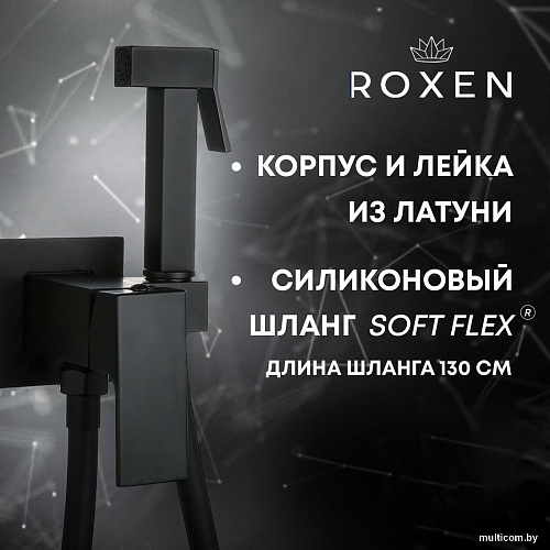 Гигиенический душ Roxen Caspia 500960-B