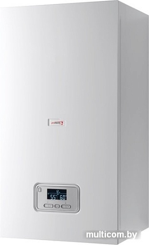 Отопительный котел Protherm Ray (Скат) 6 KE /14 0010023646