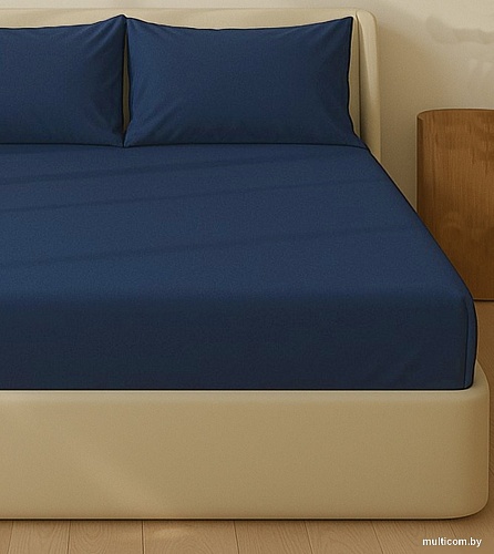 Постельное белье Sima-Land 10445193 (синий)