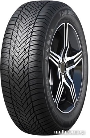 Автомобильные шины Tourador Winter Pro TS1 225/60R16 102H
