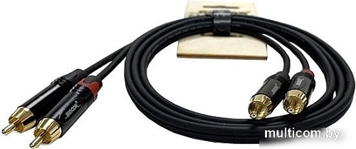 Кабель Shnoor RCA2RCA-10m