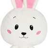 Классическая игрушка Fancy Заяц DDZA0