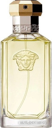 Versace The Dreamer EdT (100 мл)