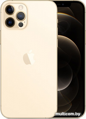 Смартфон Apple iPhone 12 Pro 512GB (золотой)