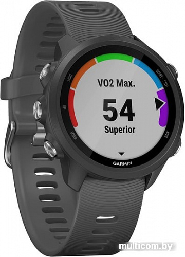 Умные часы Garmin Forerunner 245 (серый)