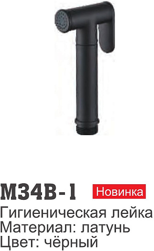 Душевая лейка Ledeme M34B-1 (черный)