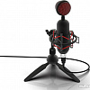 Микрофон Ritmix RDM-230 USB Eloquence
