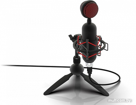 Микрофон Ritmix RDM-230 USB Eloquence