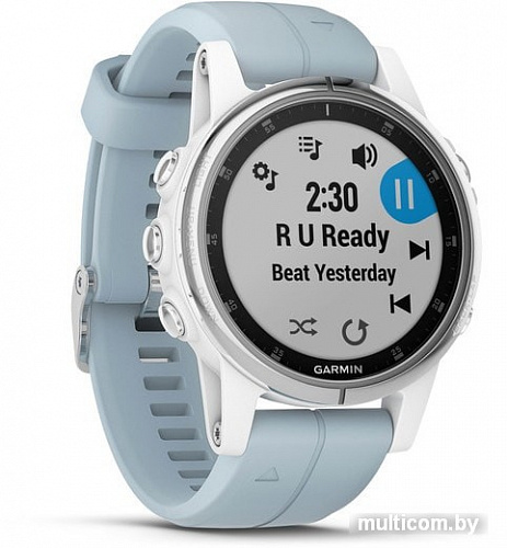 Умные часы Garmin Fenix 5S Plus (белый/голубой)