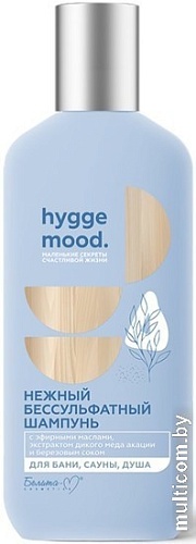 Шампунь Белита-М Hygge Mood Нежный бессульфатный 300 г