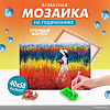 Solmax&amp;Creators Девушка на лугу SM98457