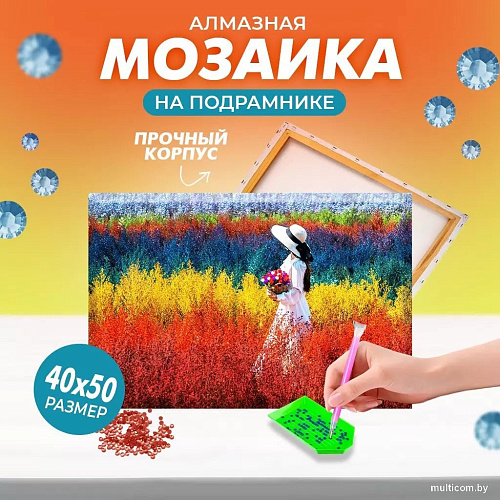 Solmax&Creators Девушка на лугу SM98457