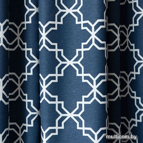 Комплект штор Pasionaria Тристан 340x230 (2 шт, синий)