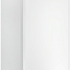 Отопительный котел Ariston Clas XC 28 FF 3301677