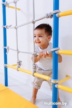 Детский спортивный комплекс Romana S7 01.31.7.06.410.05.00-68 (сиреневый/голубой)