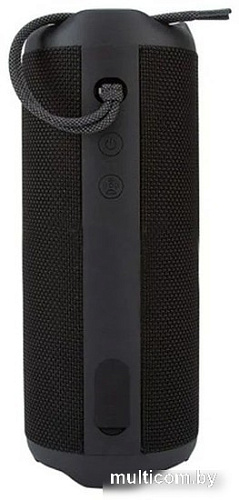 Беспроводная колонка Eltronic 30-04 Simply (черный)