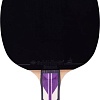 Ракетка для настольного тенниса Roxel Stellar