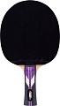 Ракетка для настольного тенниса Roxel Stellar