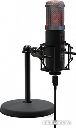 Ritmix RDM-260 USB Eloquence
