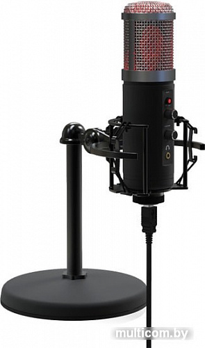 Ritmix RDM-260 USB Eloquence