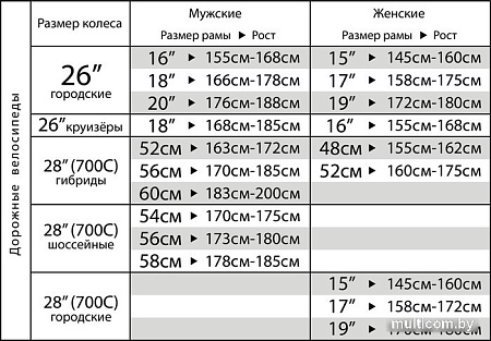 Велосипед Stinger Gravix Evo 56см 2023