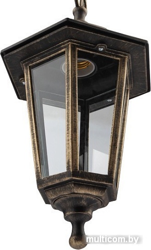 Уличный подвесной светильник ЭРА НСУ 06-60-001 Б0048109