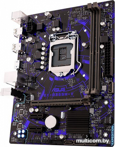 Материнская плата ASUS EX-B365M-V